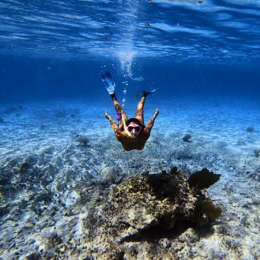 Solo Snorkel